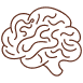 Brain Function